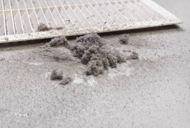 Best Commercial Air Duct Cleaning  in Quincy, IL