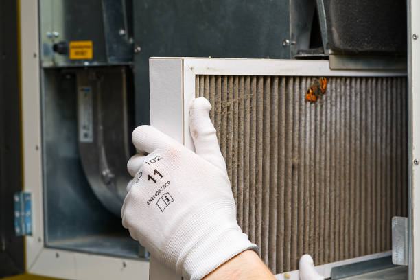 Best Air Duct Sanitizing Services  in Quincy, IL